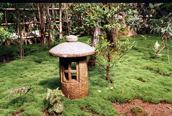 千葉県館山市 城山公園 茶室入口 南天よる空間美