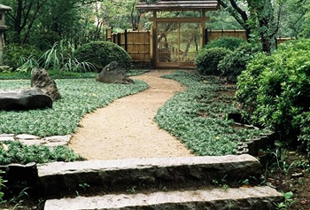 千葉県館山市 城山公園 茶室入口 南天よる空間美